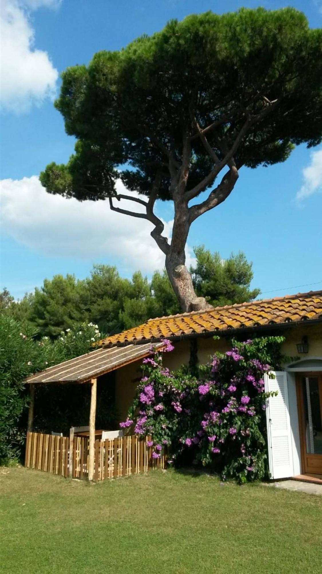 I Cavalleggeri Villa Castagneto Carducci Exterior photo